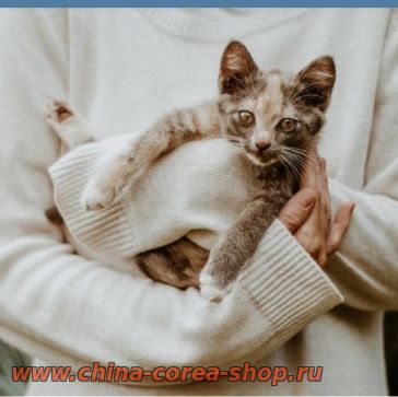 ТАК ГДЕ ЖЕ ЭТО СЧАСТЬЕ?