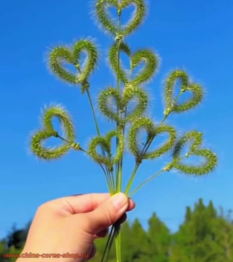 Хотите букет из летних сердечек?Смотрите простой лайфхак прямо с поля